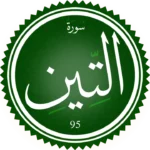 تحفيظ سورة التين