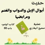 صحيح البخاري كتاب الوضوء