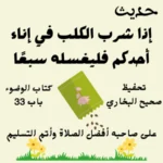 صحيح البخاري كتاب الوضوء