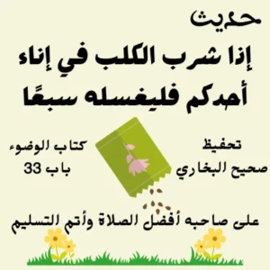 صحيح البخاري كتاب الوضوء