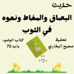 صحيح البخاري كتاب الوضوء