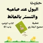 صحيح البخاري كتاب الوضوء