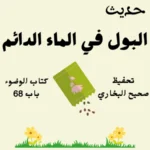 صحيح البخاري كتاب الوضوء
