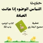 كتاب الوضوء صحيح البخاري