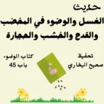صحيح البخاري كتاب الوضوء