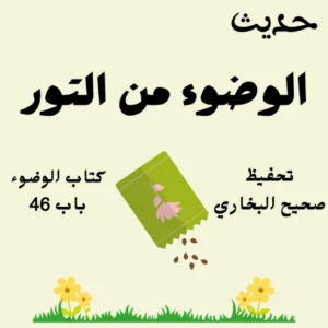صحيح البخاري كتاب الوضوء