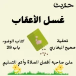 صحيح البخاري كتاب الوضوء