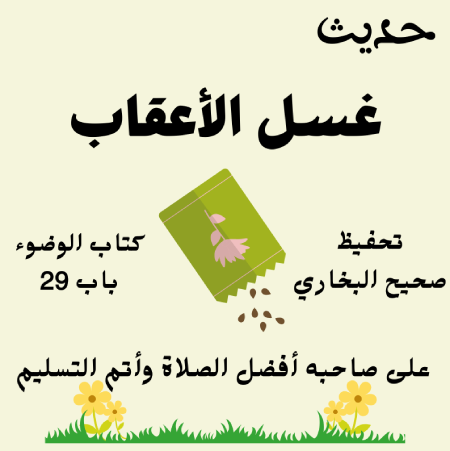 صحيح البخاري كتاب الوضوء