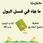 صحيح البخاري كتاب الوضوء