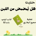 صحيح البخاري كتاب الوضوء