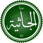 اختبار تحفيظ سورة الجاثية