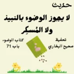 صحيح البخاري كتاب الوضوء