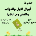 شرح كتاب الوضوء صحيح البخاري