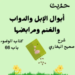 شرح كتاب الوضوء صحيح البخاري