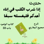 شرح كتاب الوضوء صحيح البخاري