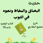 شرح كتاب الوضوء صحيح البخاري