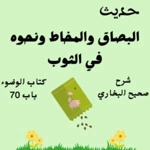 شرح كتاب الوضوء صحيح البخاري