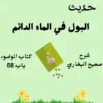 شرح كتاب الوضوء صحيح البخاري