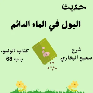 شرح كتاب الوضوء صحيح البخاري