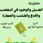 شرح كتاب الوضوء صحيح البخاري