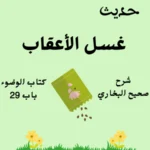 شرح كتاب الوضوء صحيح البخاري