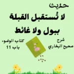 شرح صحيح البخاري