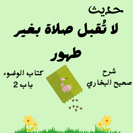 شرح كتاب الوضوء صحيح البخاري