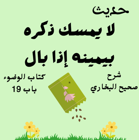 شرح كتاب الوضوء صحيح البخاري