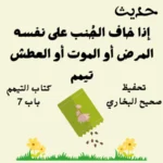 صحيح البخاري كتاب التيمم