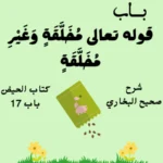 شرح صحيح البخاري