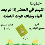 شرح صحيح البخاري كتاب التيمم