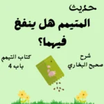 شرح صحيح البخاري كتاب التيمم