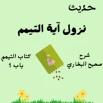 شرح صحيح البخاري كتاب التيمم