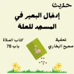 صحيح البخاري
