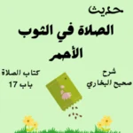شرح صحيح البخاري