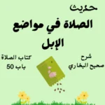 شرح صحيح البخاري