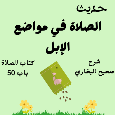 شرح صحيح البخاري