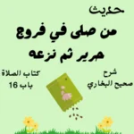 شرح صحيح البخاري