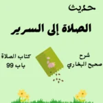 شرح صحيح البخاري