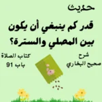 شرح صحيح البخاري