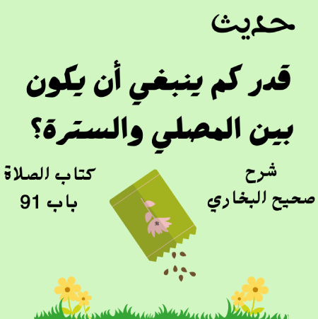 شرح صحيح البخاري