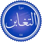 شرح سورة التغابن