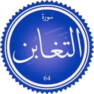 شرح سورة التغابن