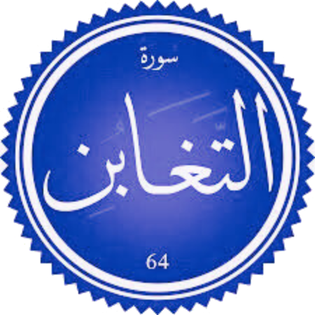 شرح سورة التغابن